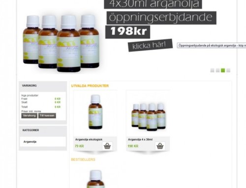 Ecoboost (E-commerce)